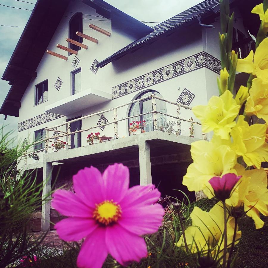 Casa Aureliana Villa Ciocanesti Екстериор снимка