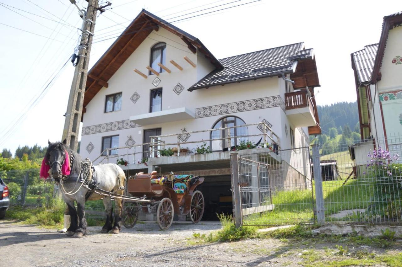 Casa Aureliana Villa Ciocanesti Екстериор снимка