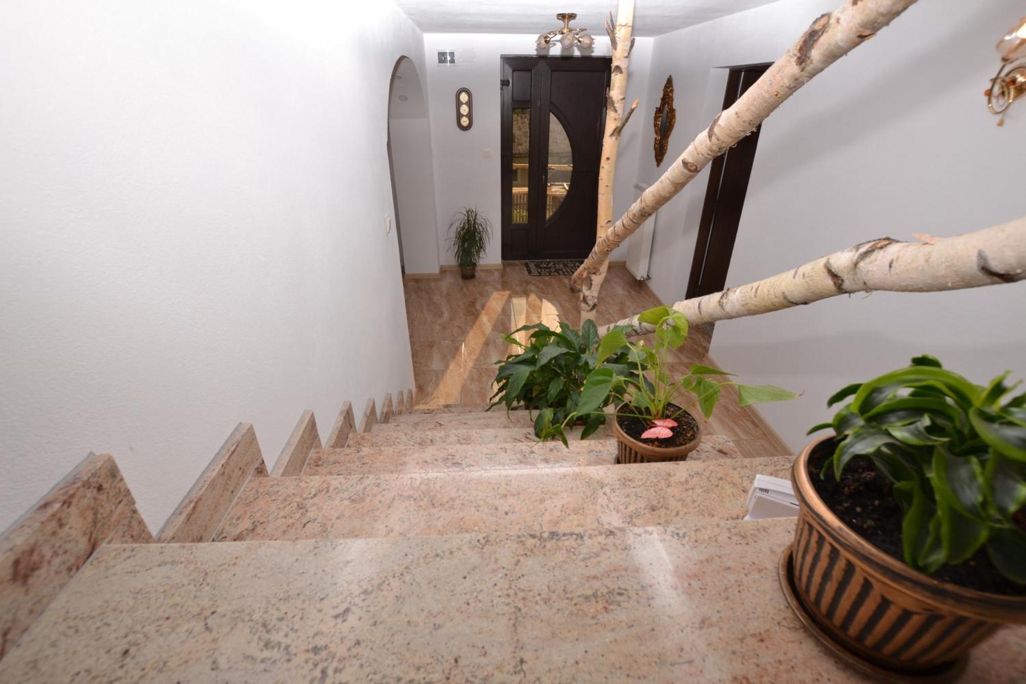 Casa Aureliana Villa Ciocanesti Екстериор снимка